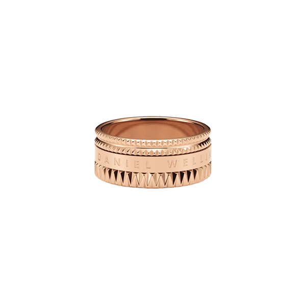 ANEL DANIEL WELLINGTON, AÇO